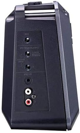 Roland Mobile Cube Battery-Powered Stereo Amplifier