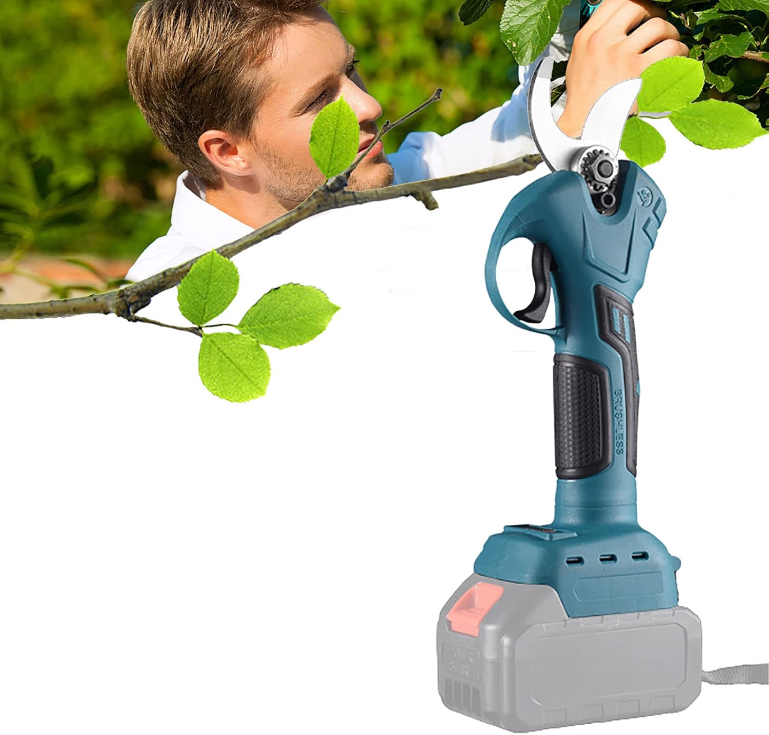 Power Tool Branch Cutter Electric Cordless Pruning Shears, Electric Garden Shears Electric Scissors, 4 Gear Garden Fruit Tree Pruning, Secateurs 0~30mm for Garden/Patio Set3 blue2