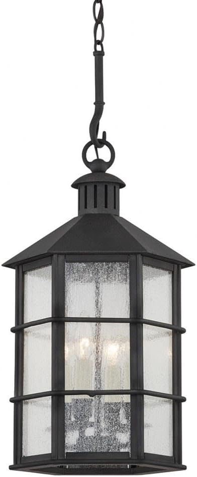 Troy Lighting F2526-FRN Lake County - 4 Light Outdoor Lantern,