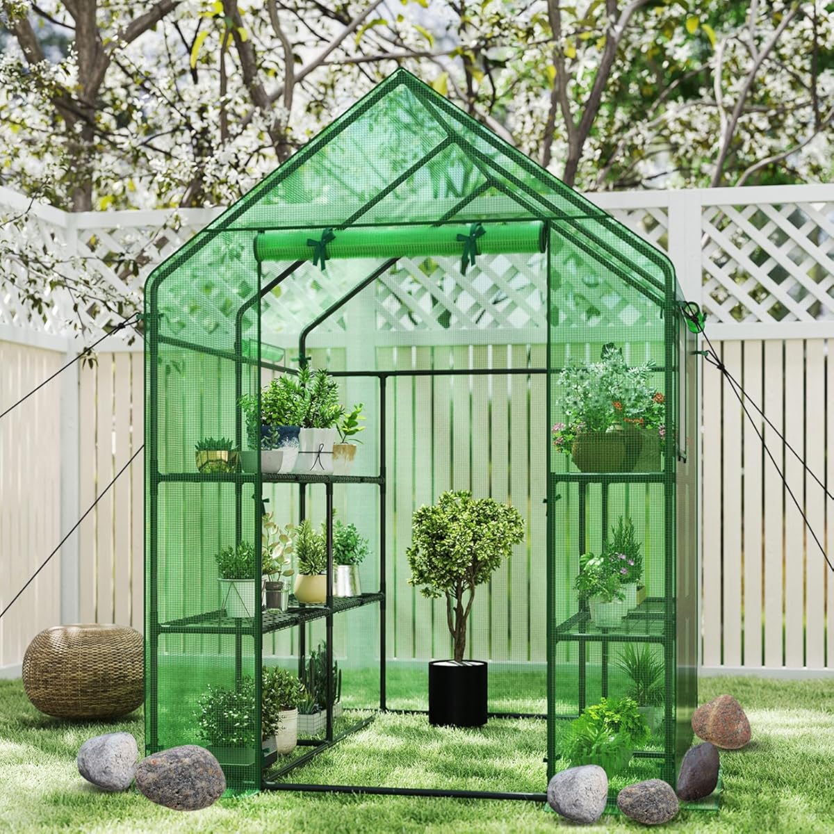 S AFSTAR Walk in Greenhouse, 4.8’ x 4.8’ x 6.4’ Green House with 2 Tier 8 Mesh Shelves & Zipper Roll-Up Door, Portable Greenhouse Mini Greenhouse, Greenhouses for Outdoors Garden Patio Backyard
