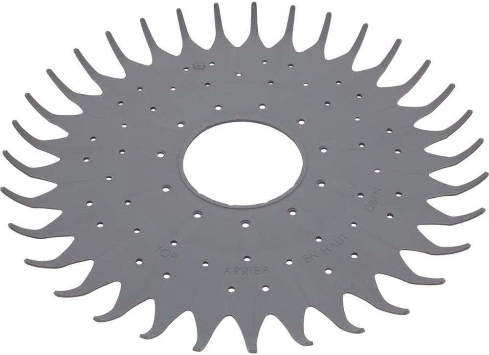 Pentair 18-Inch Vacuum Seal, Key Lock, Black Metal