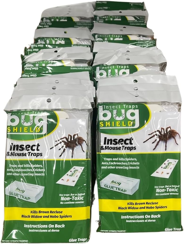 Bug Shield Sticky Glue Traps 12 Pack Glue Boards, Bulk Pack 50 Boxes / 600 Bug Traps. All Types of Incets, Spiders, Cockroaches, Ants, Cave Crickets, and More.Professional Strength Glue.