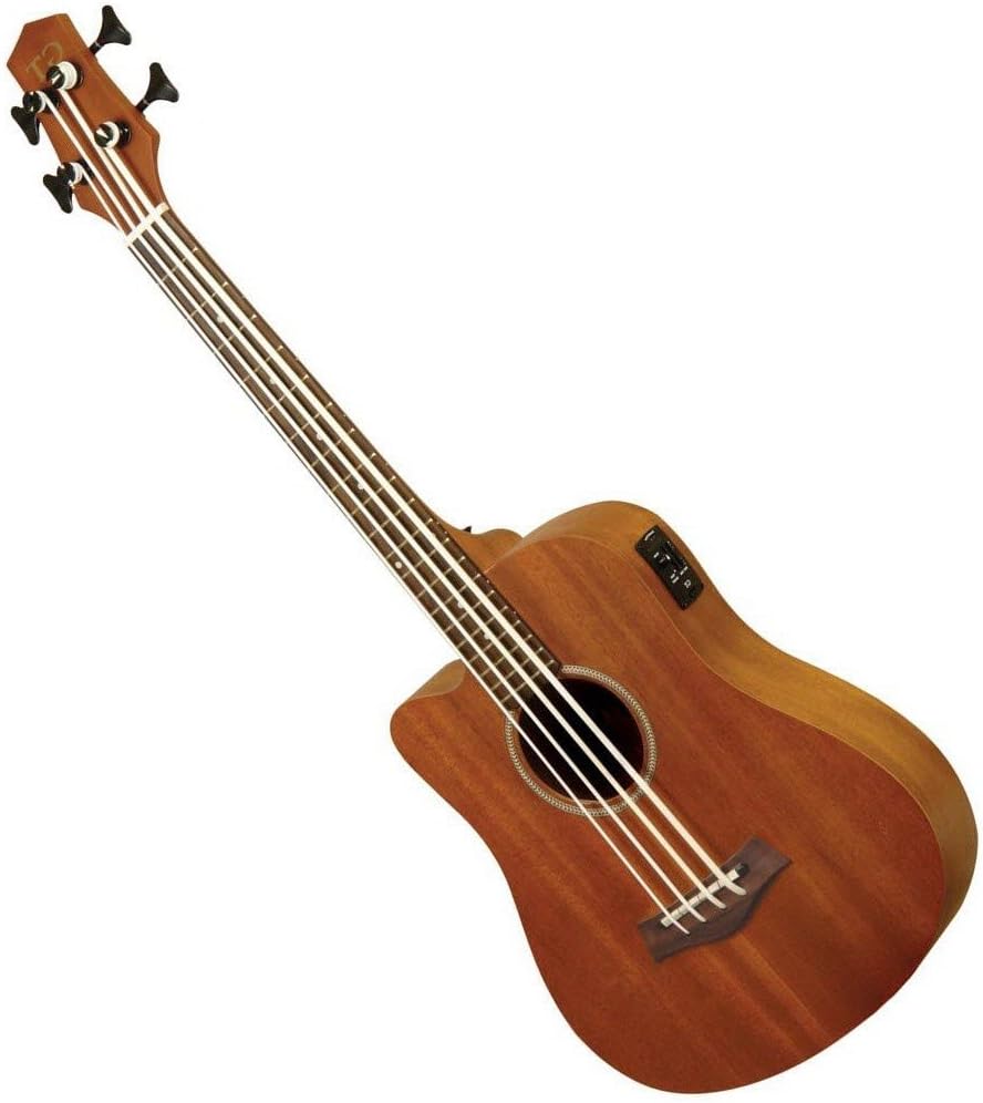 Gold Tone Left Hand Micro Fretless Bass Guitar w/Gig Bag