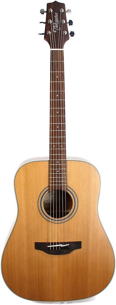Takamine GD20-NS Dreadnought Acoustic Guitar, Natural