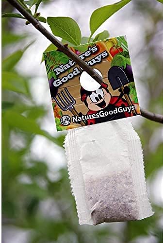 Natures Good Guys - Amblyseius andersoni - Slow Release Hanging Sachets (100 Sachets with 250 Mites)
