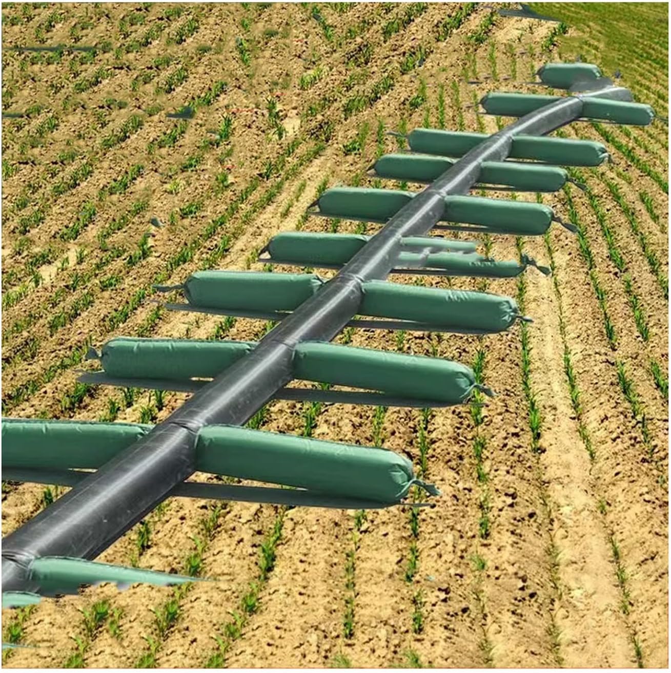 Pool Above Ground Irrigation Water Hose Double Side Irrigation Easy to Store Collapsible Customizable Size for Agriculture Fields Garden (Color : Green, Size : 30m/1.5m)