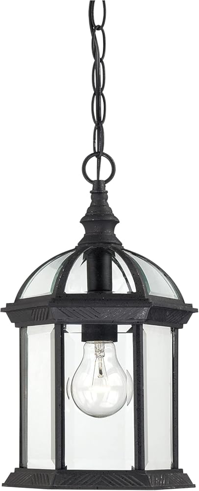 Nuvo Lighting 60/4979 Traditional One Light Hanging Lantern from Boxwood collection in Black finish