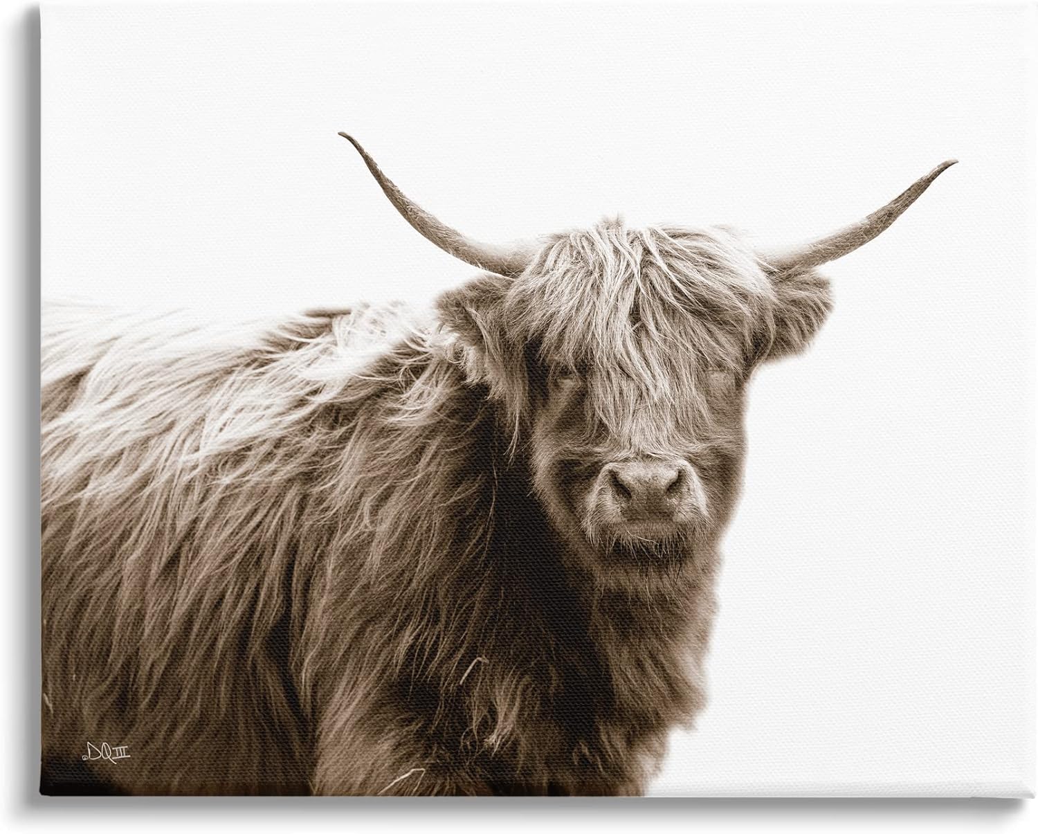 Stupell Industries Quaint Longhorn Cattle Country Animal Photography, Design by Donnie Quillen