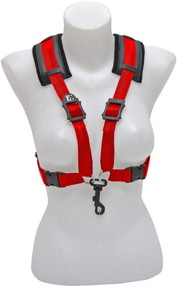 BG 6 String Acoustic Bass Guitar, Right, (S419CSH)