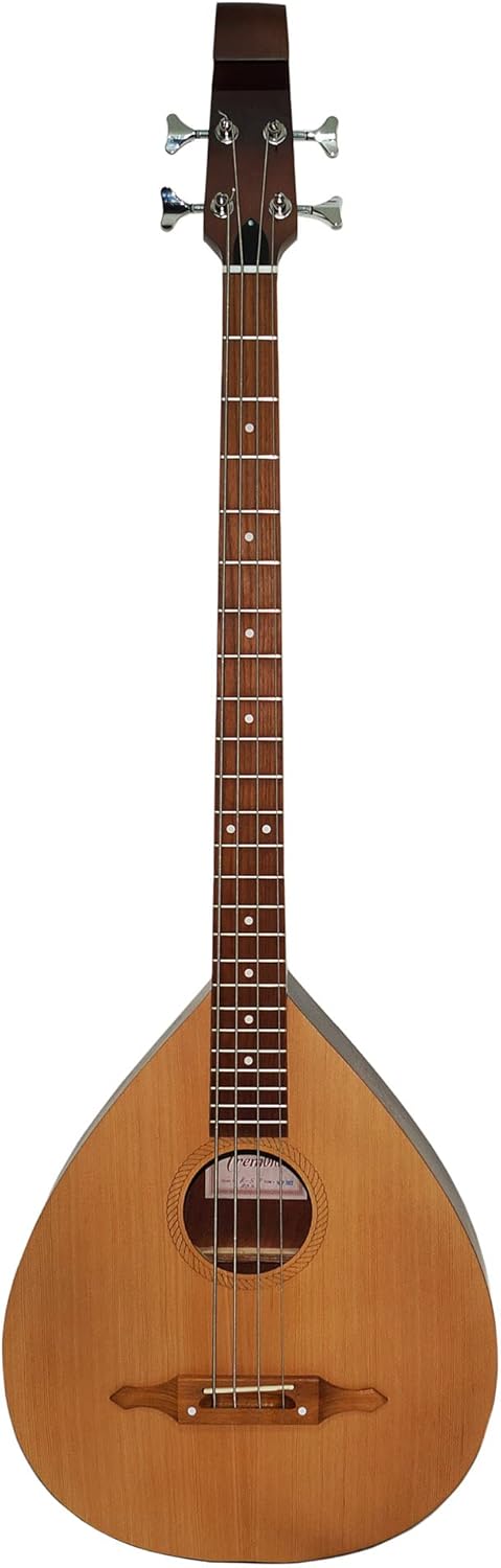 Bass Guitar New Ukrainian Folk Musical Instrument, Bass Lute Guitar, 4 Strings Guitar Kobza Bass, Wooden Vihuela Original, 995