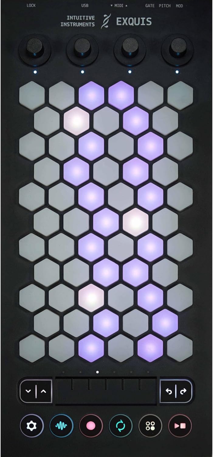 Intuitive Instruments Exquis 61-Key MPE MIDI Controller