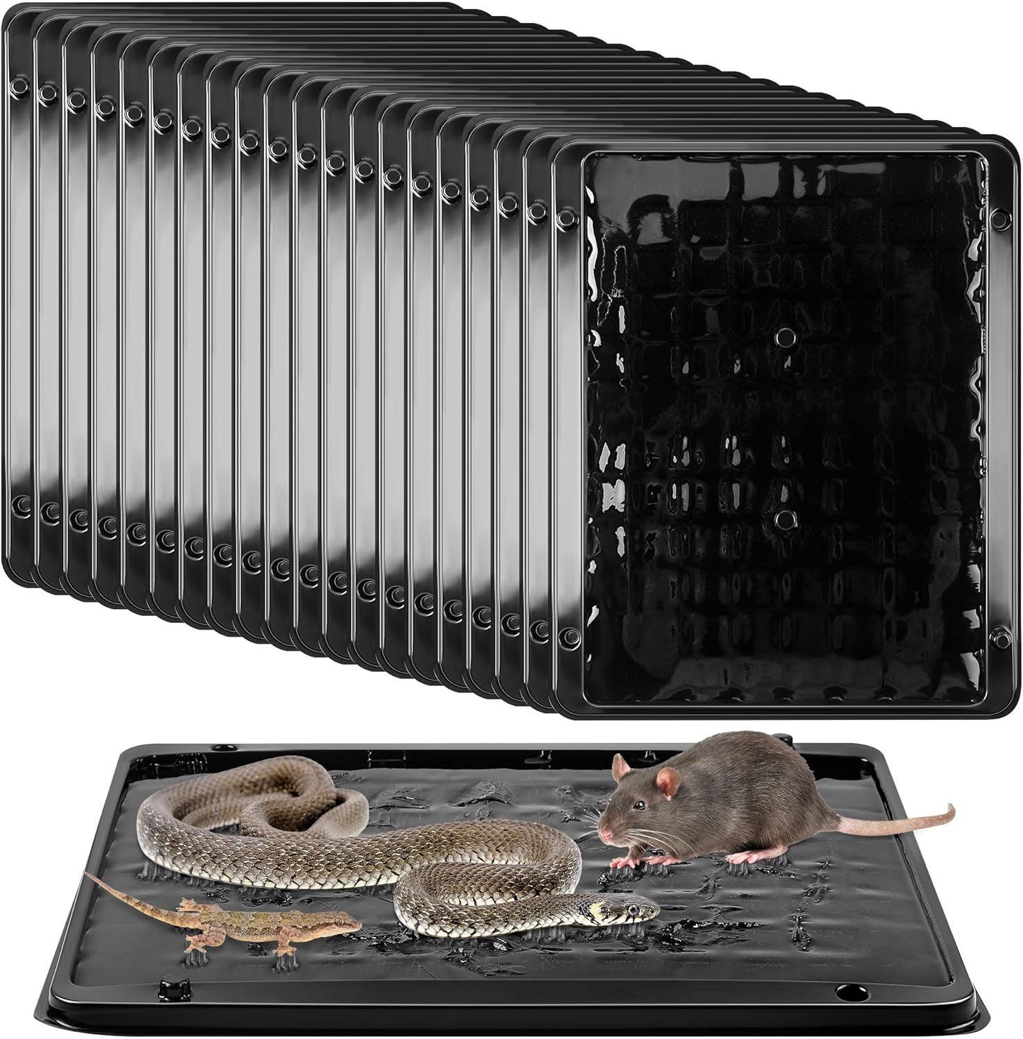 Qualirey 20 Pack Jumbo Rat & Mouse Glue Traps, 11.8 X 9.84 in Large Heavy Duty Mouse Traps Indoor for Home, Pre Scented Adhesive Plastic Tray with for Spider, Snake, Mice, Kids and Pet Safe (Black)
