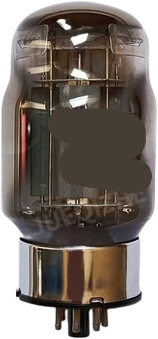 1/2/4PCS KT100 Vacuum Tube Audio Tube Amplifier(1PCS)