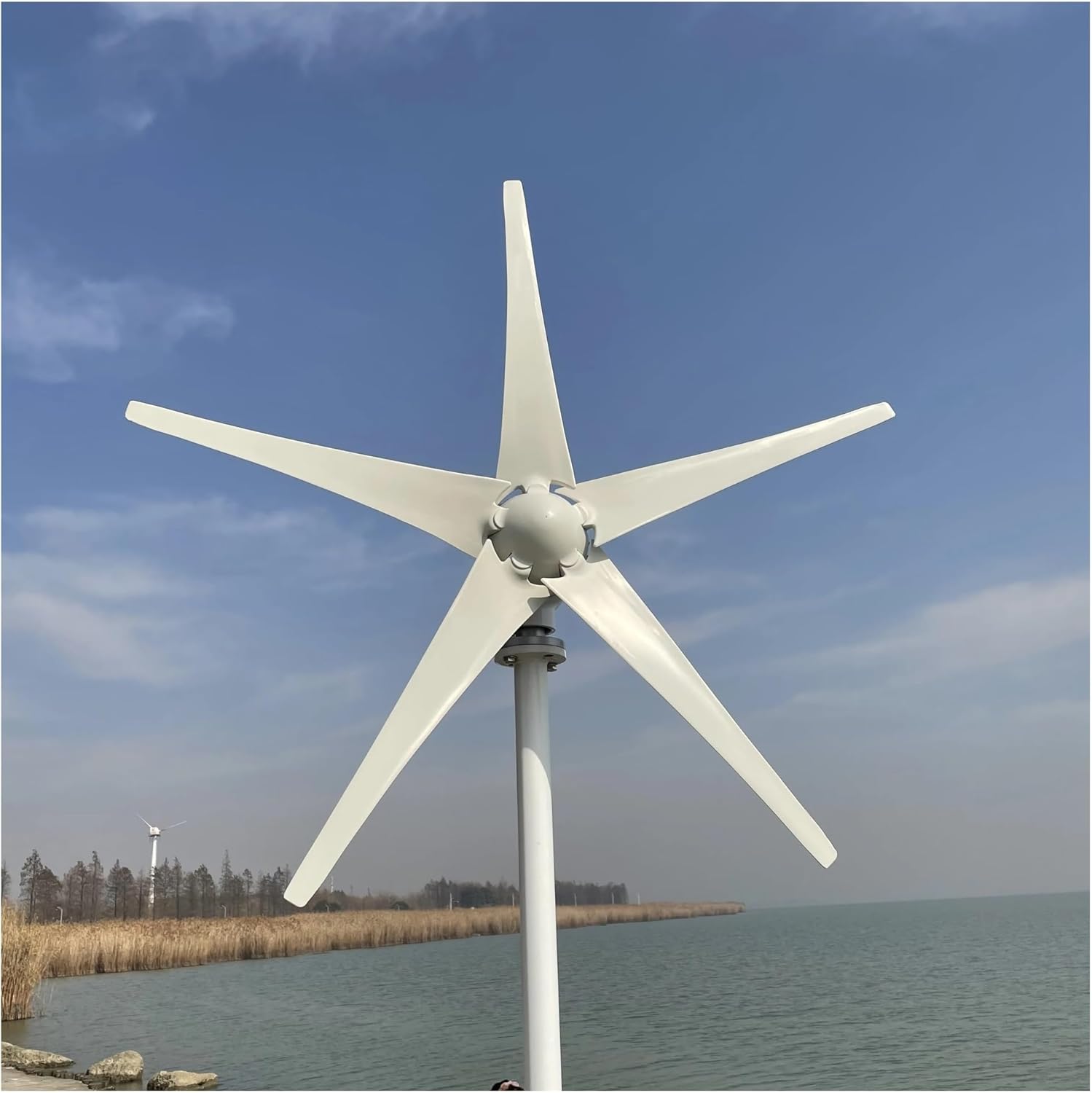 Wind Turbines, Small Wind Turbine Free Energy 2000w 12v 24v 48v 5 Blades Windmills RV Yacht Farm for Home Use(12V)