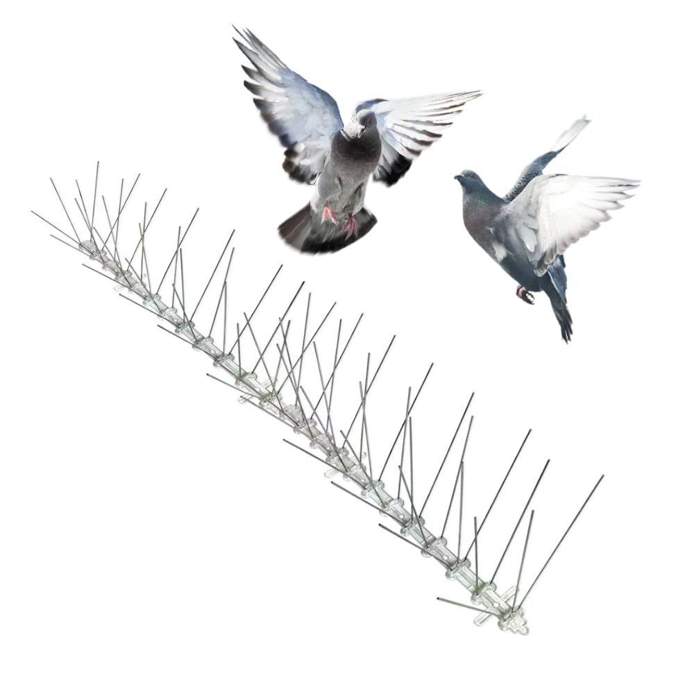 Bird-X Stainless Steel Bird Spikes, 8-inch Extra-Wide Spikes for Pigeons and Other Small Birds, Easy to Install, Contains 2 ft. Strips, Covers 100 Linear Feet Area, EWS-100