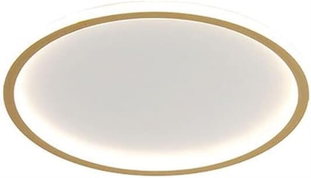 Ultra Thin Ceiling Lamp Dimmable Lighting Fixtures Led Flush Mount Ceiling Light Contemporary Flat Round Ceiling Light for Bedroom Office Stairs Hotel Living Room Kitchen Hallway (Size : 30CM