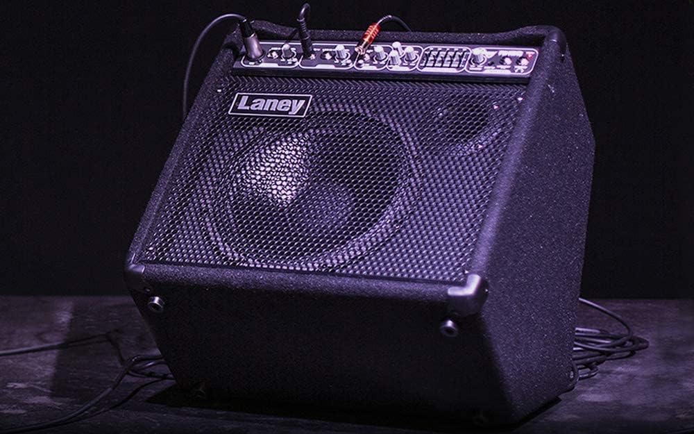 Laney Audiohub AH80 Multi-Input Combo 80W 10 Inch Woofer Plus Horn