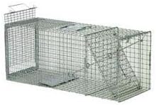 Live Animal Trap for Large Raccoons, Foxes, Woodchucks - Slide Release Door