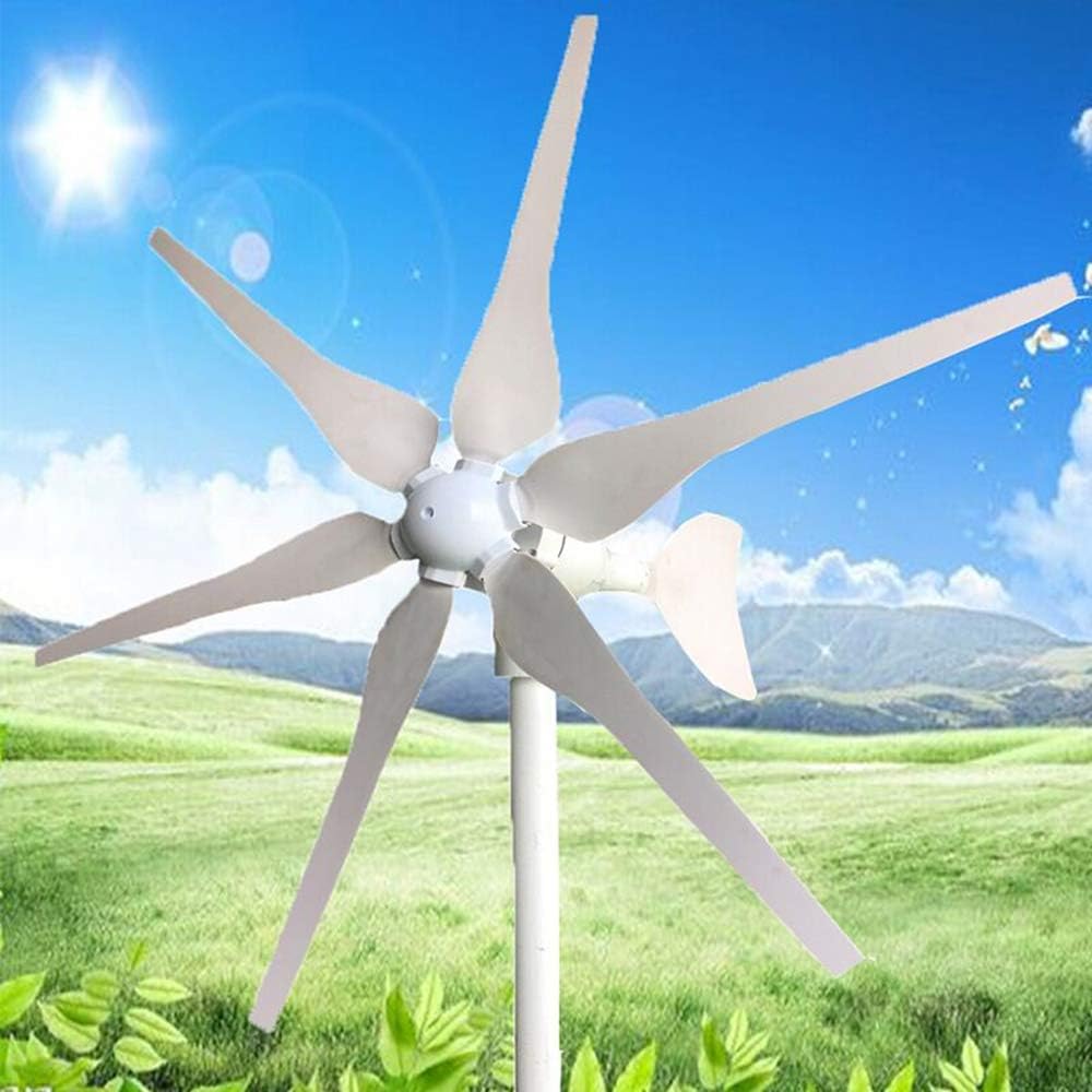 800W Horizontal 6 Blades Wind Generator Turbine 12V/24V Windmill with Charge Controller for Home Use,12v