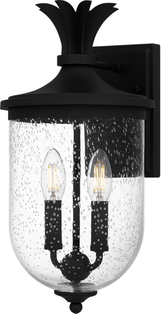 Quoizel Havana Coastal-Style Outdoor Wall Lantern, 16.25 Inch 2-Light Earth Black Wall Sconce, Pineapple Motif with Seedy Glass, 60W, Tropical-Inspired Outside Lights for Patio, Porch, Garage or Yard