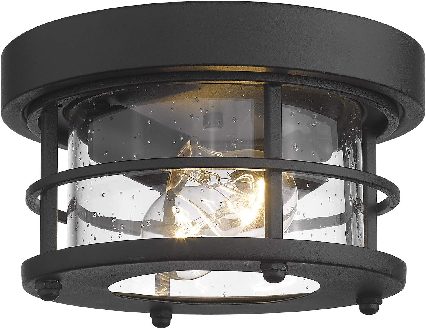 Emliviar 2-Light Round Ceiling Light Fixture, Farmhouse Flush Mount Ceiling Light 10 Inch, Black Finish, WE2085F BK