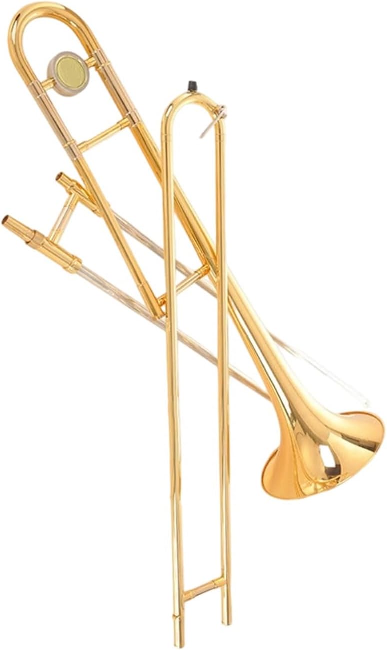 Adult Trombone Instrument Trombone In BF Tenor Pitch Transposition Instrument Beginners(1)
