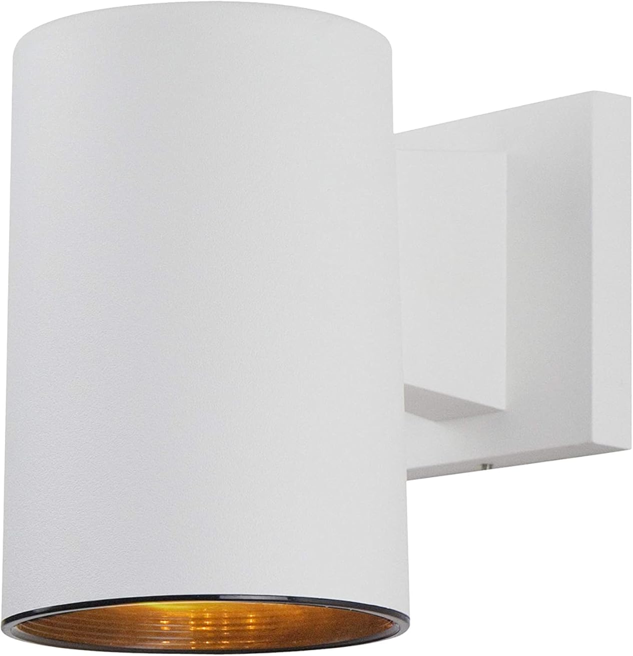 KASTLITE Turtle Safe Wall Mounted Lamp, 7.25