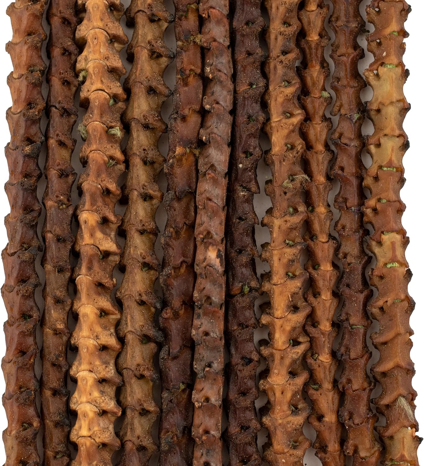 The Bead Chest Real Snake Vertebrae Beads from Africa 7mm Nigeria African Brown Interlocking Bone Large Hole 32-34 Inch Strand Handmade