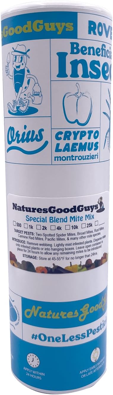 25,000 Predatory Mite Blend