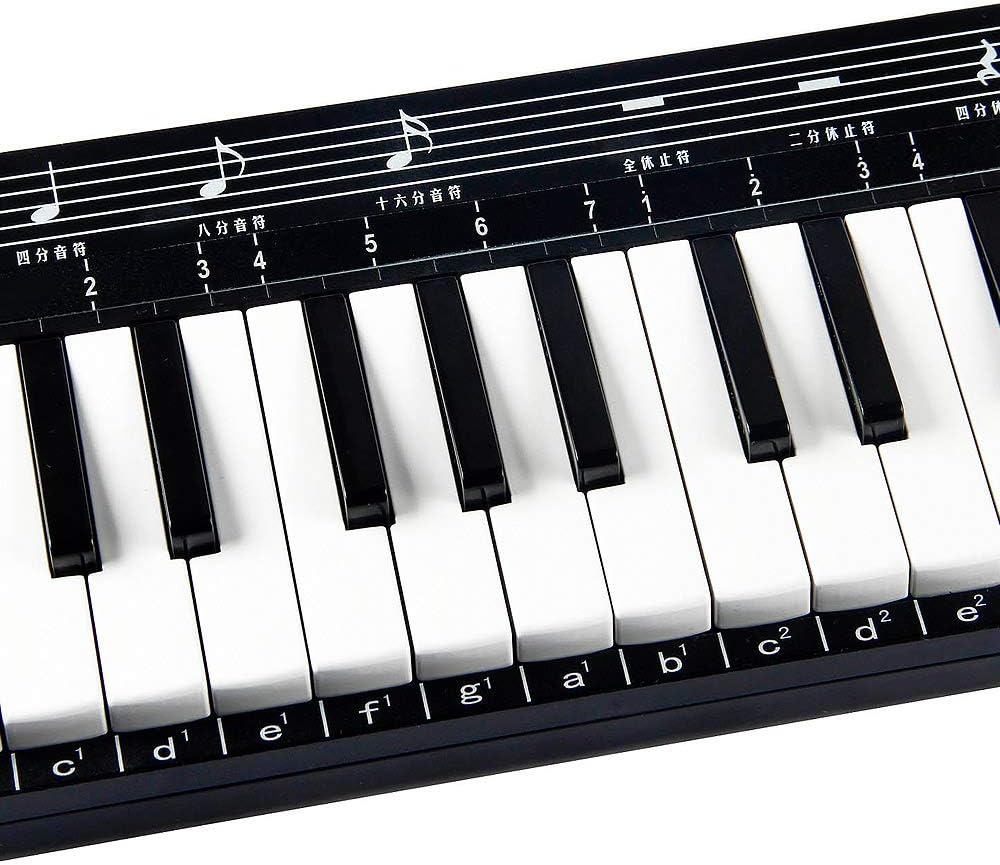 All Music Theoty Melodion 37 keyboard Professional Melodica Harmonica Playing Musical Instruments