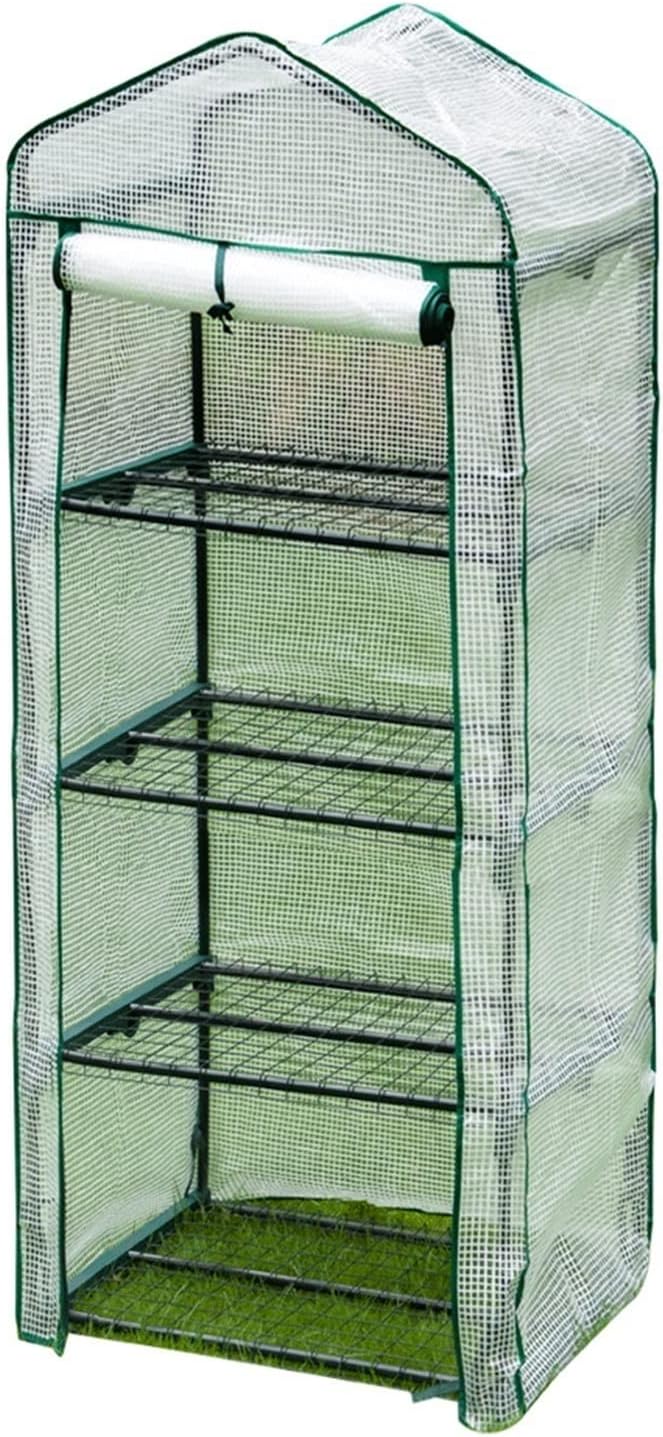 Greenhouse for Tomato Film, wintering Tent for Plants, Multi-Purpose Green Houses with roll-up Door, Space-Saving, Cold Frame, Vegetables, Flowers, Fruit, Garden