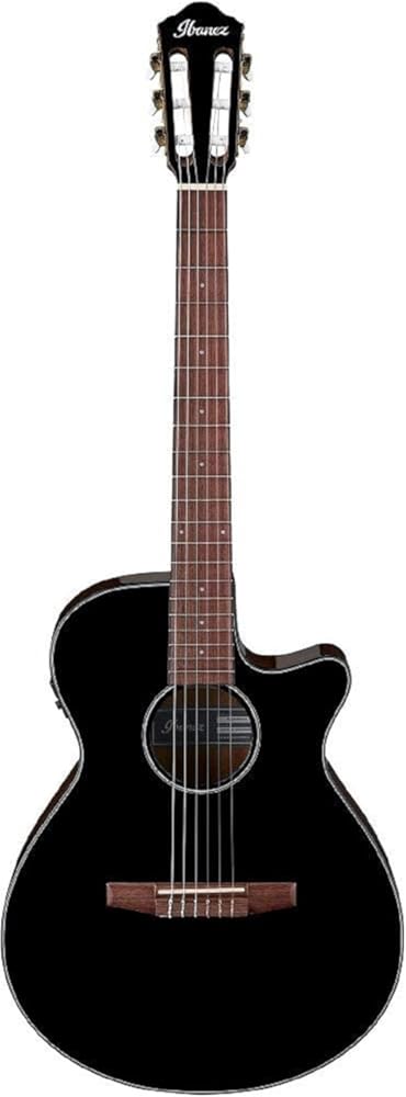 Ibanez AEG50N Acoustic-Electric Guitar - Black High Gloss