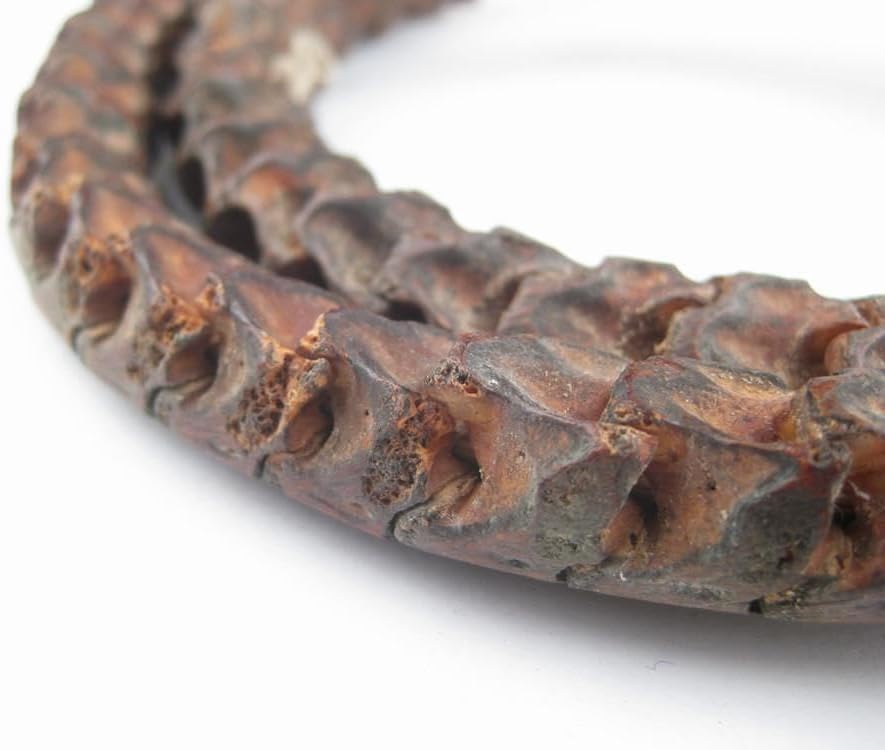 The Bead Chest Real Snake Vertebrae Beads from Africa Large 14mm Nigeria African Brown Interlocking Bone Large Hole 32-34 Inch Strand Handmade