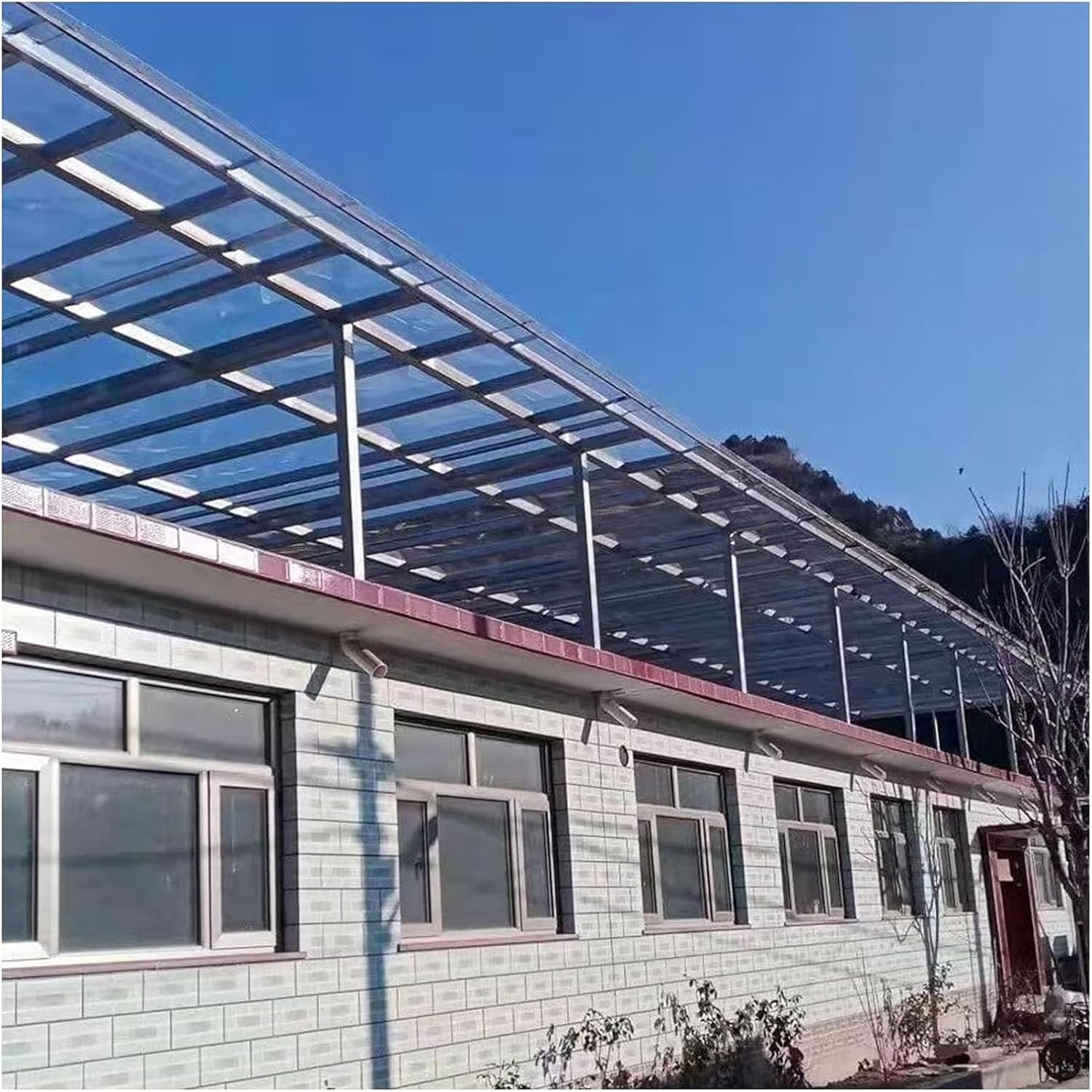 Clear Roof Panels, Polycarbonate Roofing Sheet for Greenhouse Canopy Outdoor Garden Patio Covers, Waterproof UV Protection, Easy to Bend and Cut (Size : 5.9x9.8ft)