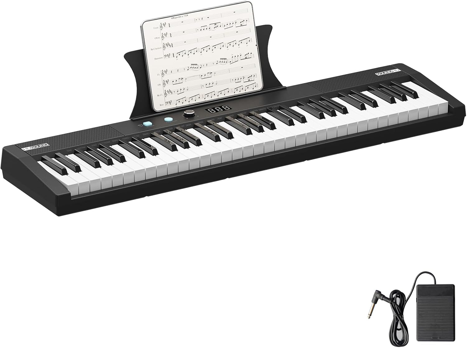 61 Key Touch-Sensitive Portable Electronic Keyboard – HIPS Digital Piano, Lightweight & Compact, Ideal for Learning & Practice, Non-Set,Gift for Kids & Beginners