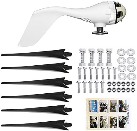 9000W 12V/24V 6 Blade Wind Turbines Wind Generator Horizontal Home Windmill,Black,24v