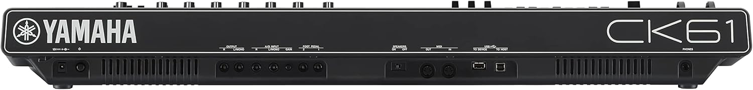 Yamaha CK Series 88-Key Stage Keyboard with Built-In Speakers, Black (CK88)