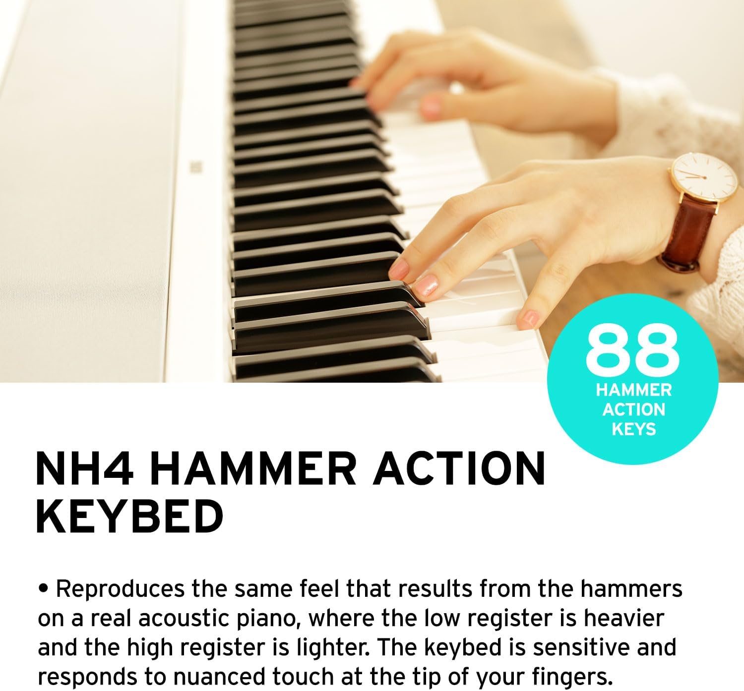 Korg B2 88-Key Digital Piano w/stand; Audio/MIDI USB; Software Included - White