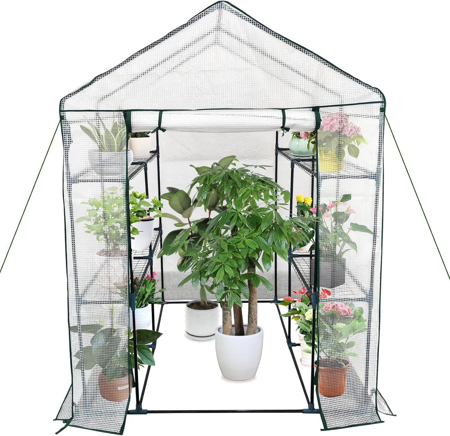 Small Greenhouse for Outdoors, 56
