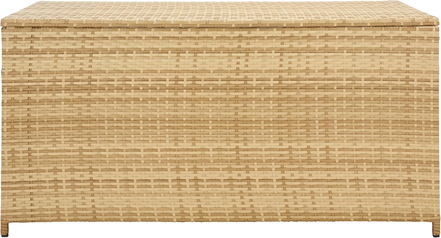 SAFAVIEH Outdoor Collection Oliveira Natural/White Cushion Box