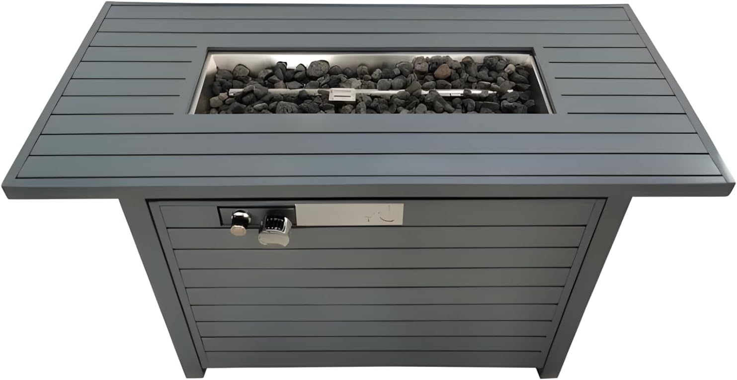 Penau 25 H x 42 W Outdoor Fire Pit Table with Lid - Stainless Steel, Propane & Natural Gas Options, Gray