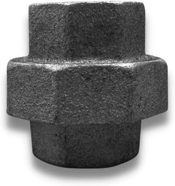 DPM Heavy-Duty Pro Galvanized Female Union NPT Female Malleable Iron Pipe Fitting for Inground Swimming Pool Heater Installation & Other Plumbing Needs (10, 1