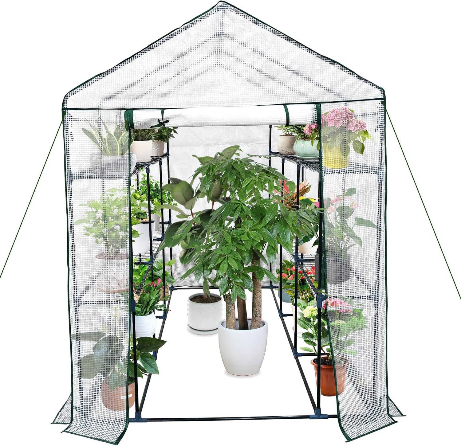 GarveeLife Greenhouse for Outdoors,57 x 85 x 76 in Portable Indoor and Outdoor Green House w/Roll-Up Zippered Door Anchors and Ropes,Plant Garden Hot House w/ 9 Shelves for Garden Patio Backyard