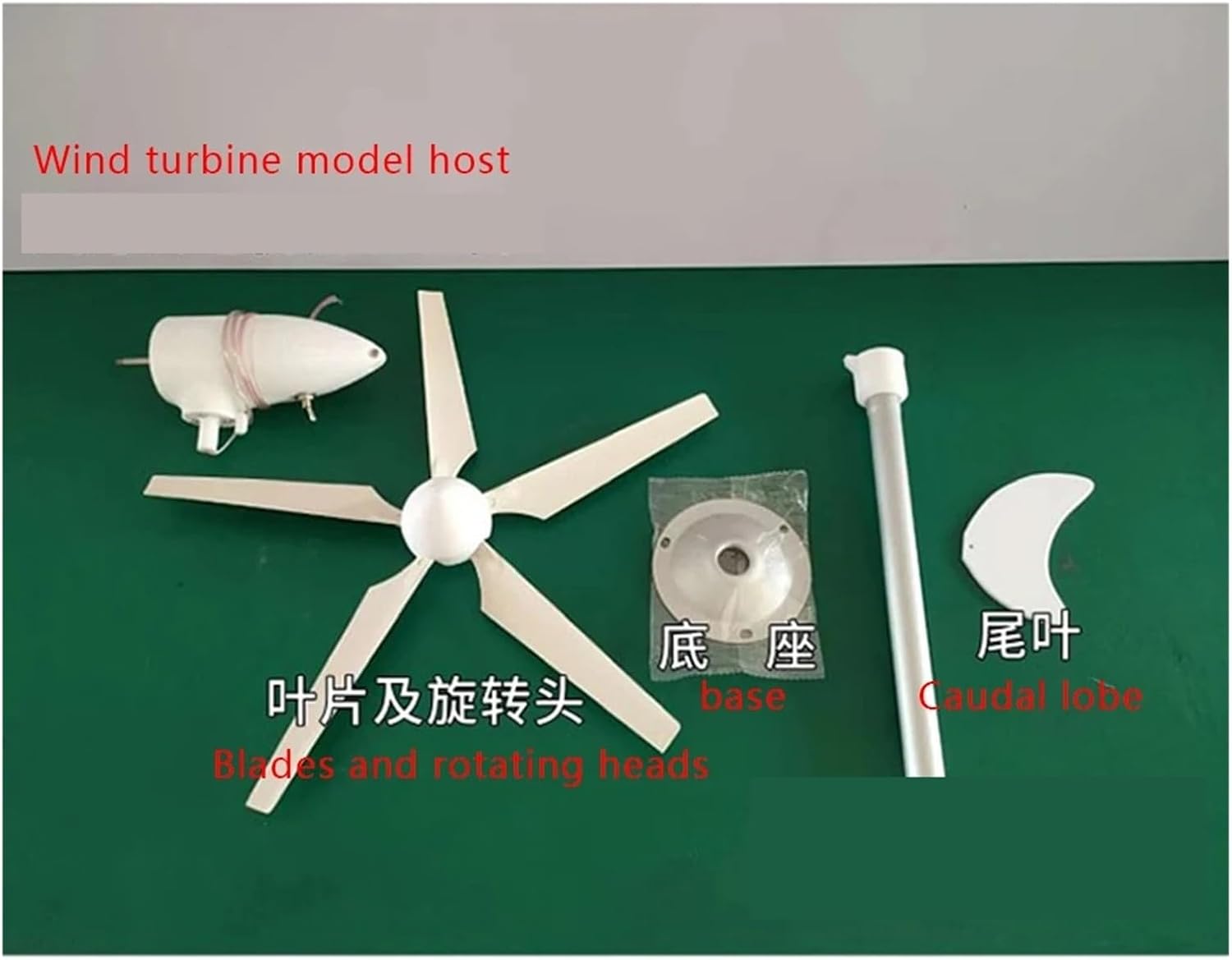 Wind Power DIY Kit 5-Blade Mini Wind Turbine Model Three-Phase Permanent Magnet Brushless Outdoor Windmill DIY Small Wind Turbinefor Homes Learn About Renewable Energy & Power