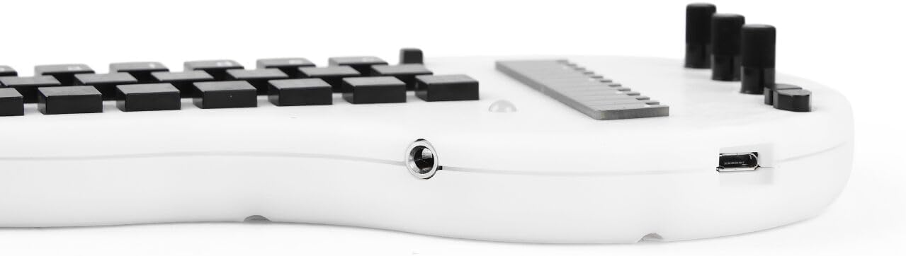 Minichord Synthesizer