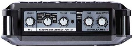 Roland Mobile Cube Battery-Powered Stereo Amplifier