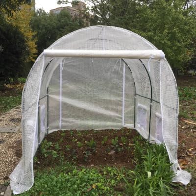 Vinyl Greenhouse, Large Portable Walk-in Garden Greenhouse, Outdoor Patio Hot House, Plant Greenhouse, Multi-Functional Greenhouse Shelves for Fruits, Vegetables, (3*2*1.75m)
