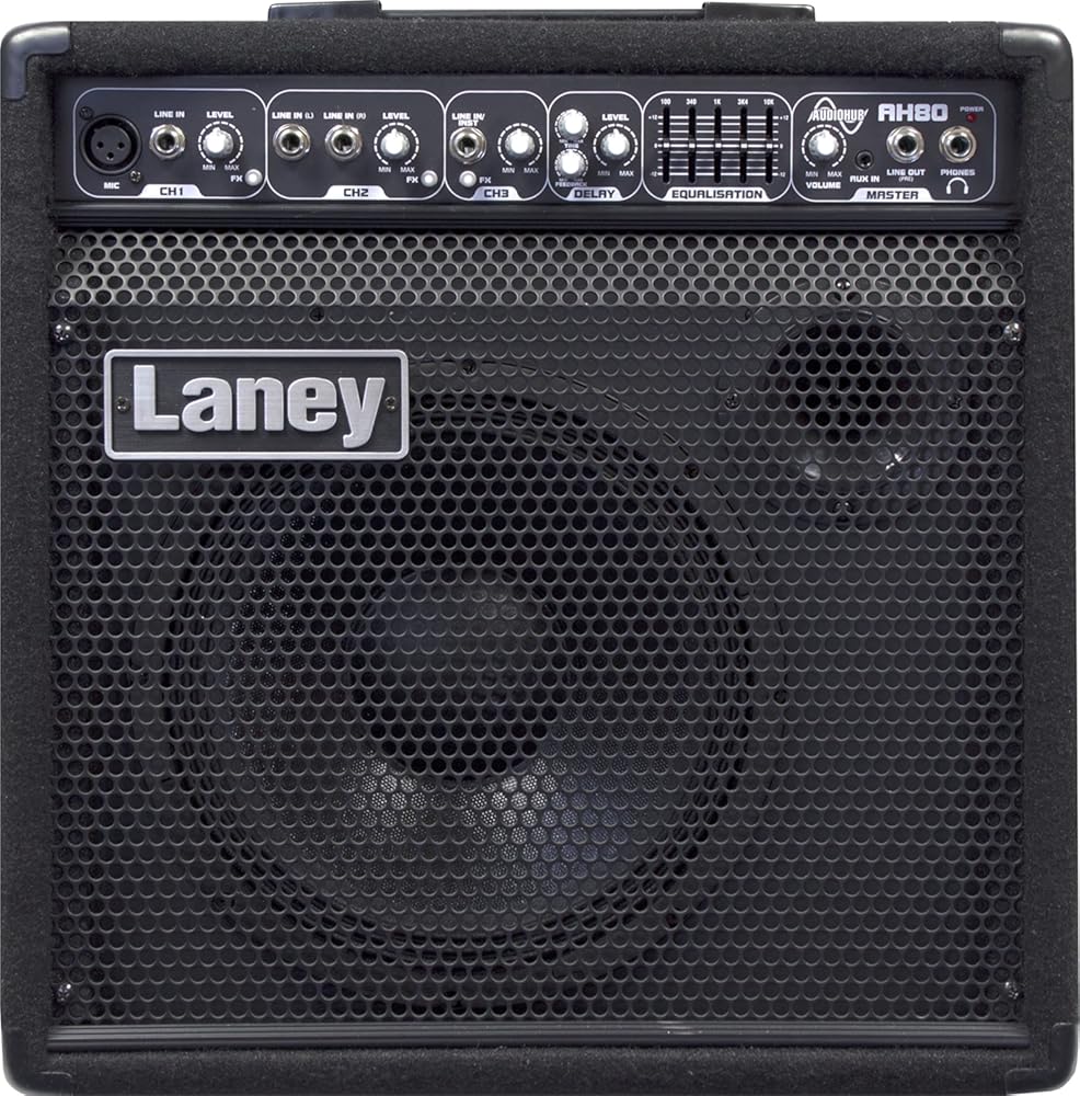 Laney Audiohub AH80 Multi-Input Combo 80W 10 Inch Woofer Plus Horn