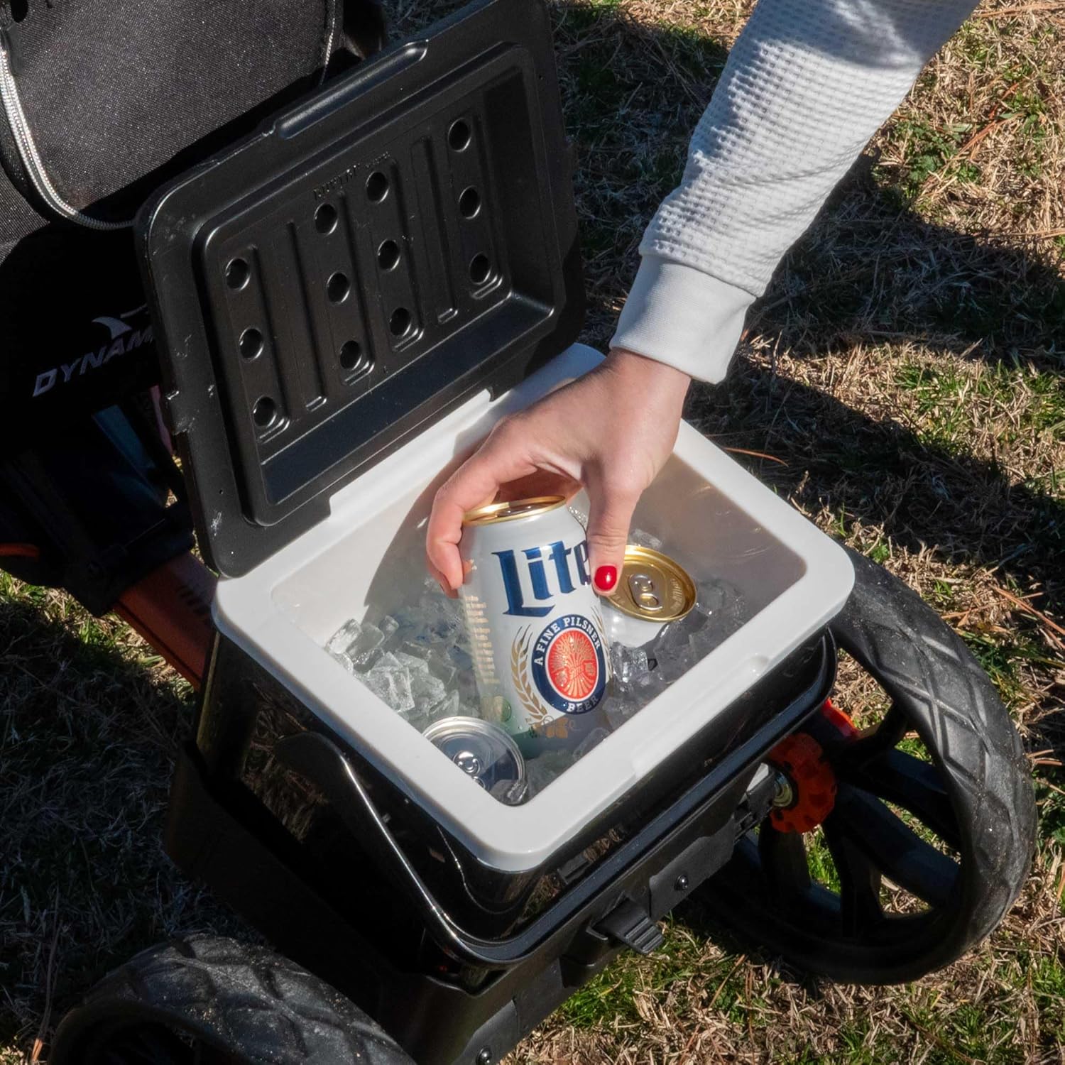 Bag Boy Disc Golf Quad Cart