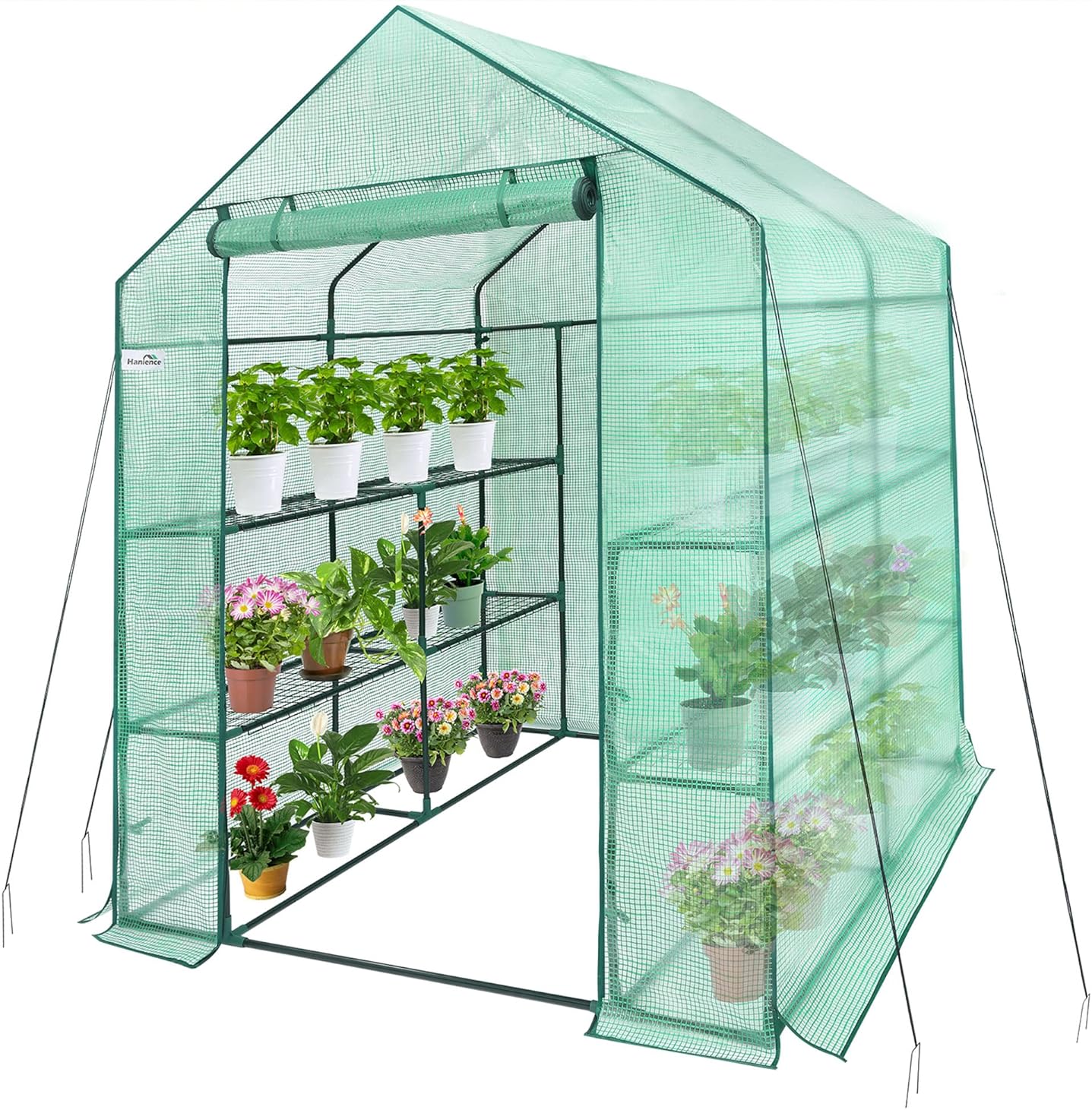 Walk-In Outdoor or Indoor Covered Portable Plant Greenhouse for Gardens, Patios, and Yards with 8 Wired Shelves, and Roll-Up Zippered Door